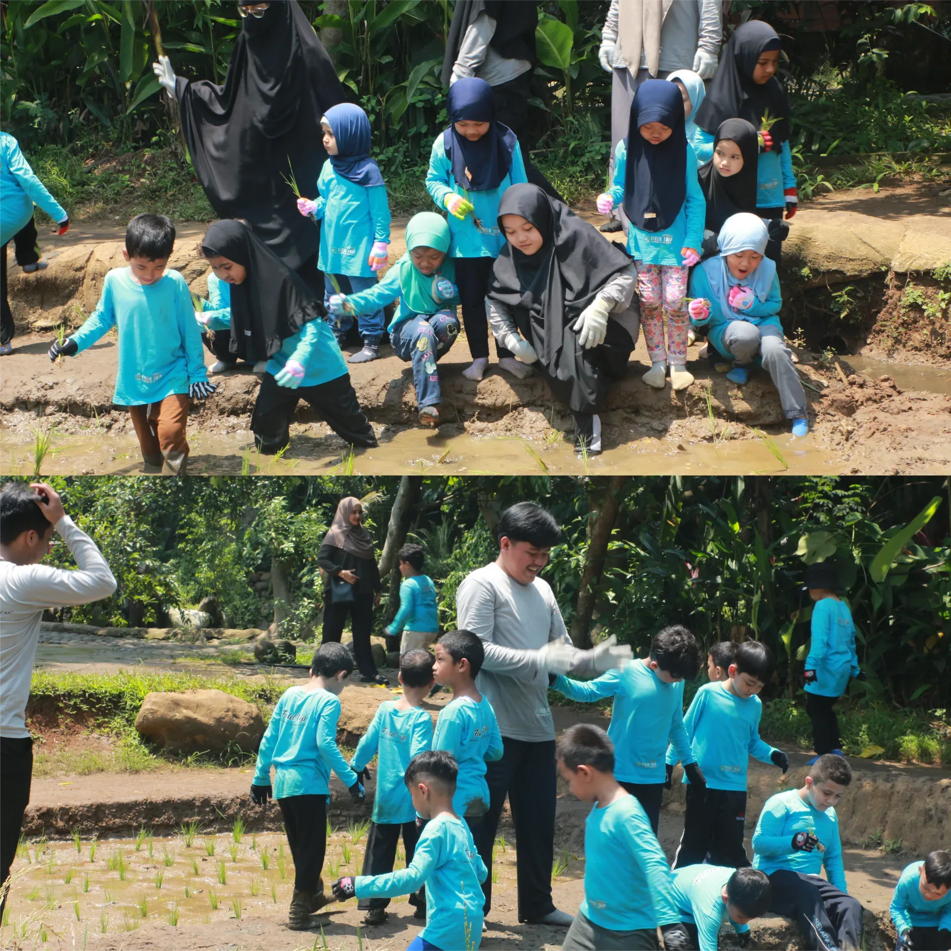 Taman Kanak-kanak Al Quran (TKQ) Madani Al Washiyyah